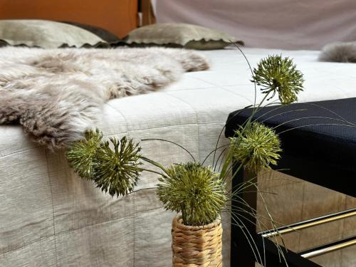 Idestrup Otro | Romantic Luxus Glamping 3
