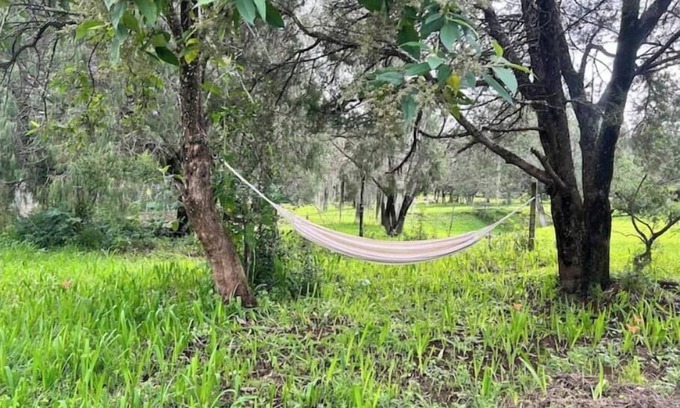 Huasca De Ocampo Cabina | Romantic Night with in the Woods By GEstores