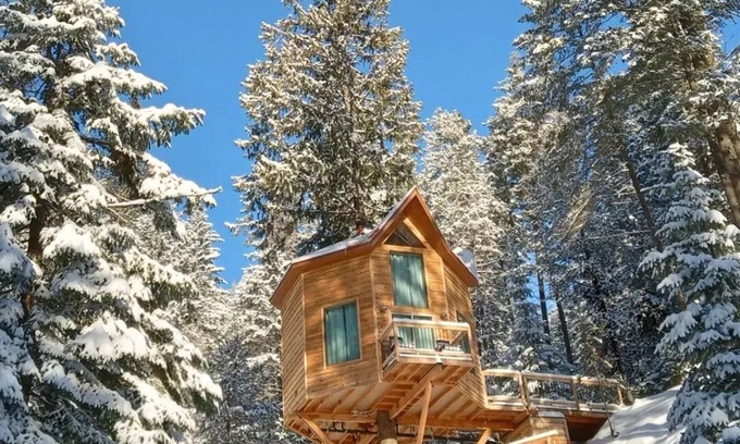 Newport Apartamento | Romantic Treehouse Getaway with Peaceful Mountain Views!