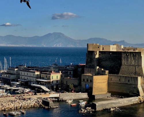 San Ferdinando Apartamento | Rooftop in front of the Castle