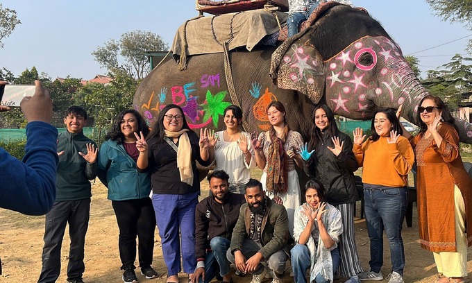 Pink City Villa | Room 4 - You can spend time with elephants by going close them