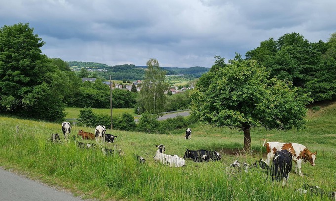 Udersdorf Apartamento | Room 6, 2-pers. shower/toilet - Gasthaus Paula