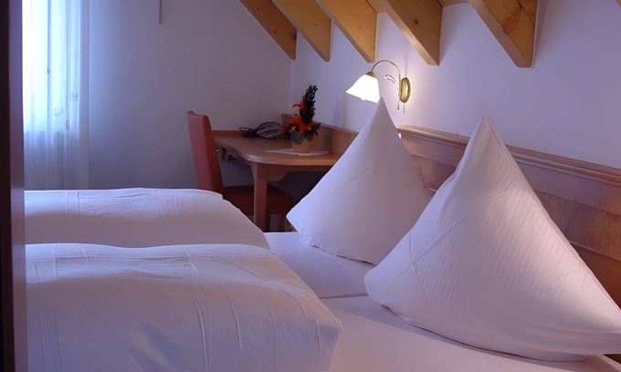 Elzach Apartamento | Room 'Doppelzimmer' with Shared Terrace and Wi-Fi