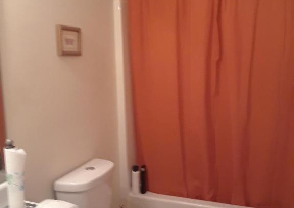 Northeast Raleigh Casa | Room for female