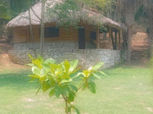 Damian Carmona Casa | Room in Cabin - Cabins Sierraverde Huasteca Potosina sierra cabin