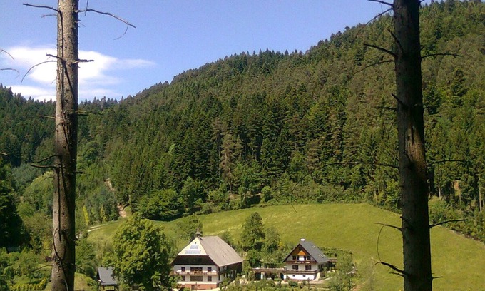 Hornberg Apartamento | Room 'Talblick' with Mountain View, Balcony and Wi-Fi