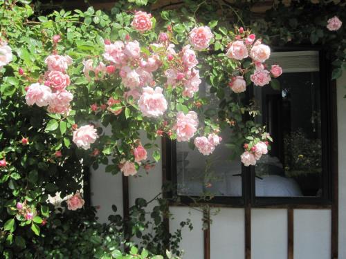 Harewood Casa | Rose Cottage at The Elms