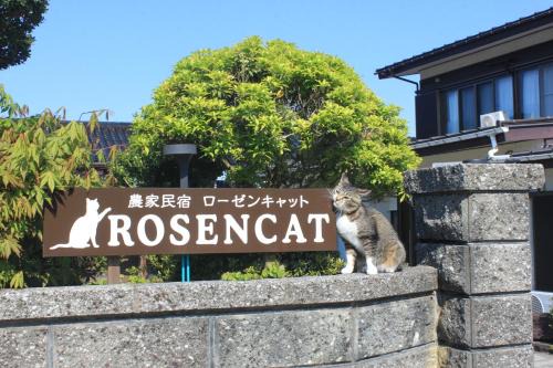Sado Casa | Rosencat