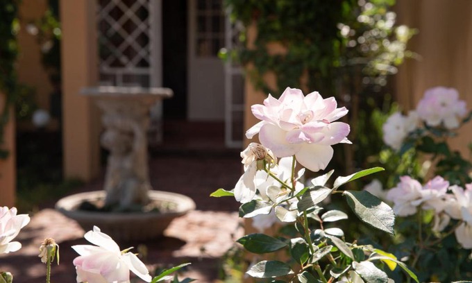 Klerksdorp Cama Y Desayuno | Roses and Pebbles B & B Guest House