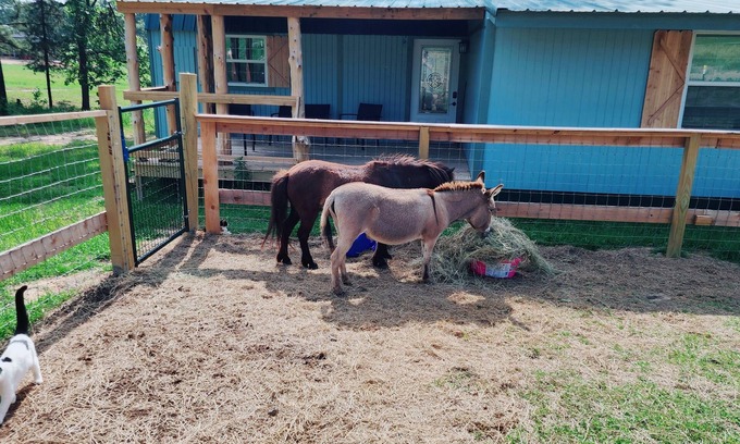 Edom Cabaña | Rosie's Relaxing Ranch Retreat