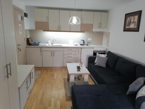 Vrnjacka Banja Apartamento | Royal 019