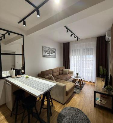 Vrnjacka Banja Apartamento | Royal apartmani Vrnjačka Banja