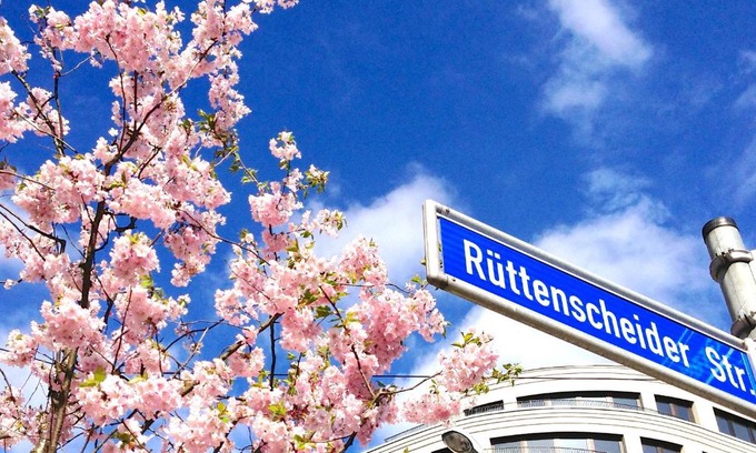 Ruettenscheid Apartamento | RÜ Business Apartments & Suites