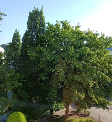 Mitte Apartamento | Ruhiges Appartment am Stadtpark