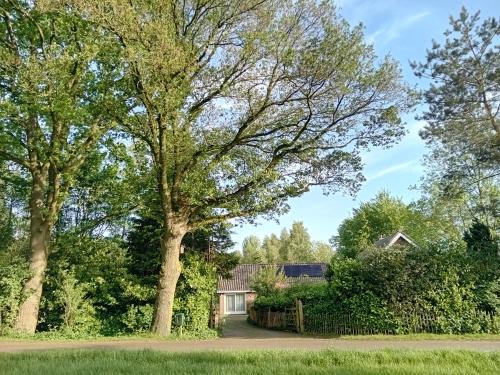 Hemrik Casa | Ruim huisje op een prachtige plek