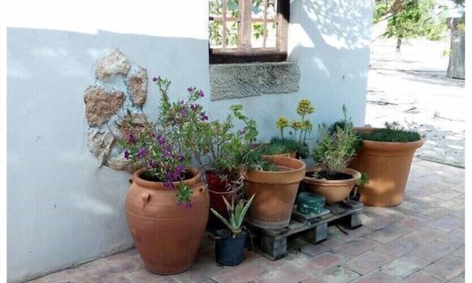 Yecla Casa | Casa Rural el Olivar de las Pepinas