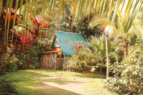 Pavones Apartamento | Rustic Cabin in Pavones surf brake