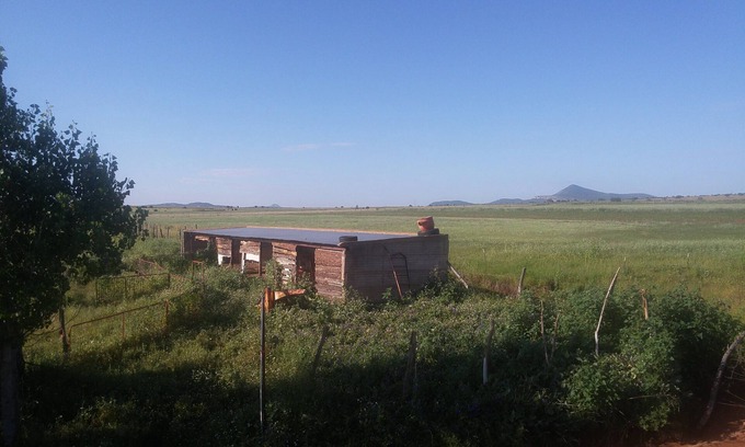 Cuauhtemoc Cabina | Cabaña Rustica rodeada de naturaleza