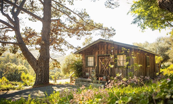 Arroyo Grande Cabina | Venga a relajarse en la cabaña del olivo