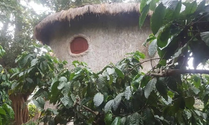 Kaimane Casa | Rustic Charm Wayanad - The Roots (Treetop Suite)