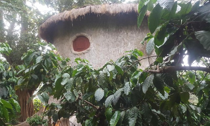 Kaimane Apartamento | Rustic Charm Wayanad - The Roots (Treetop Suite)