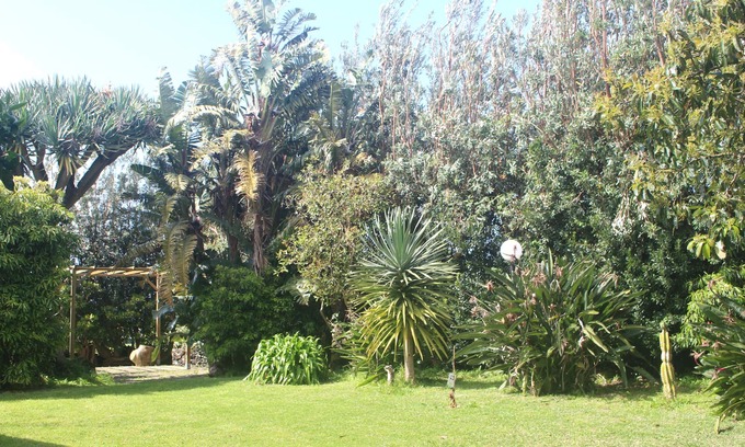 Ponta Delgada Cabaña | Rustic house with garden overlooking the sea in the center of the island