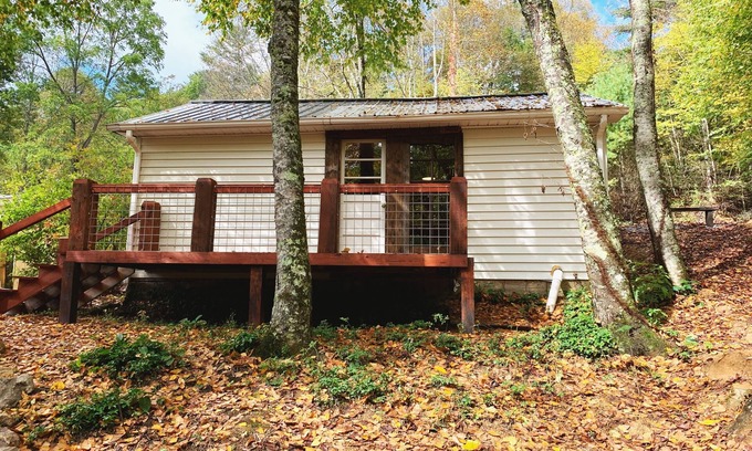 Roan Mountain Cabaña | Rustic Ridge a tiny home close to hiking and skiing!