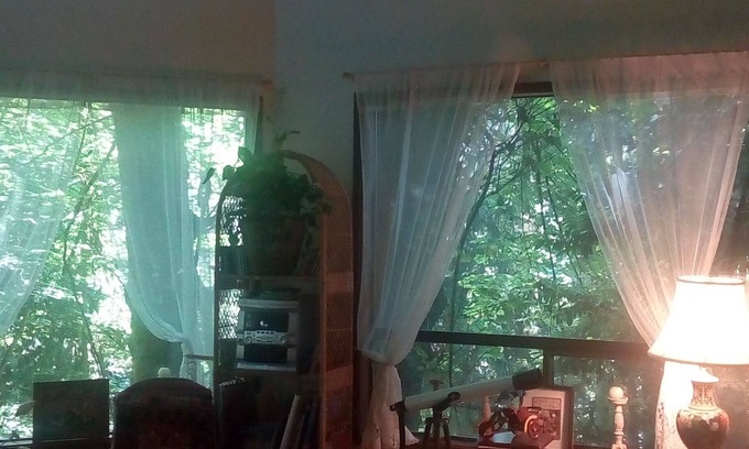 Inglewood-Finn Hill Casa | Hermosa casa del árbol de Juanita