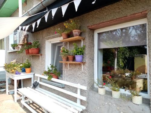 Polski Trambesh Apartamento | Rustic Village Retreat
