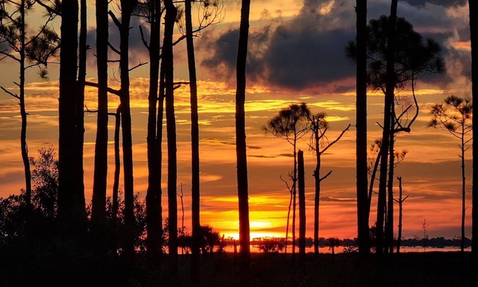 Port St. Joe Alquiler De RV | RV Site, Hookups, Close to Bay ~ Twilights Reach