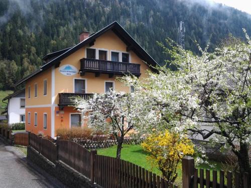 Mallnitz Apartamento | Säuleck Appartement mit Mobilitätspass
