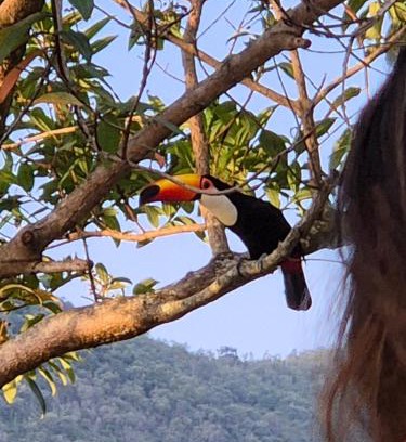Araras Casa | Sítio Recanto da Paz Casa Amarela