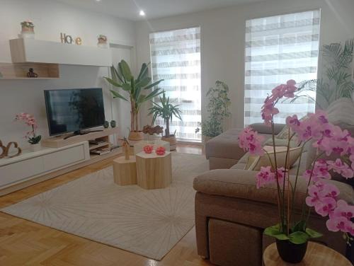 Santiago de Compostela Apartamento | Súper apartamento Santiago