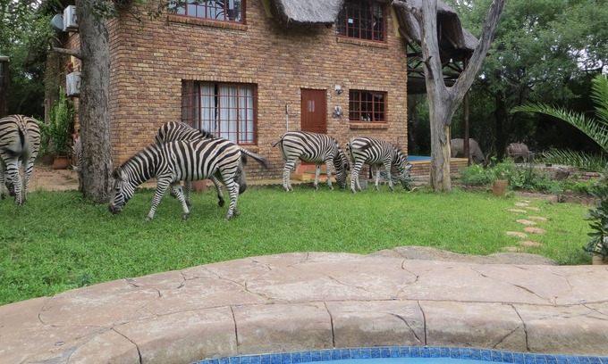 Marloth Park Casa | Safari en y desde tu plataforma de observación privada. ¡Disfruta del monte en perfecta privacidad!