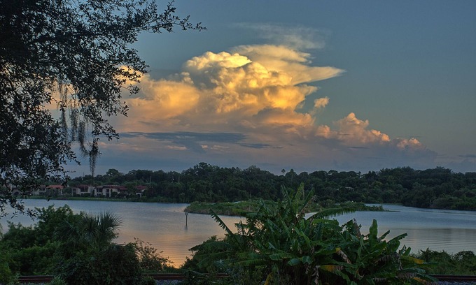 Safety Harbor Casa | Safety Harbor Bird House with Lake View