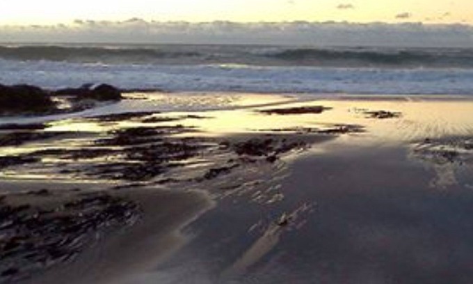 Lincoln City Cama Y Desayuno | Salmonberry Inn & Beach House