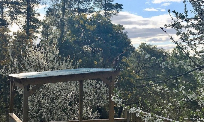 Daylesford Casa | Retiro de arte de Salt Spring; jacuzzi privado