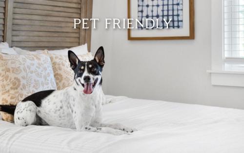 Grayton Beach Casa | Salty Sisters by Oversee 30A
