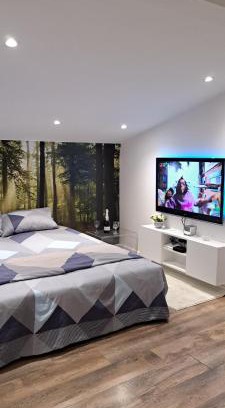 Stari Banovci Apartamento | SAMITEST