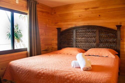San Jose del Pacifico Chalet De Esquí | San José del Pacífico- Cabañas Camino al Cielo 4