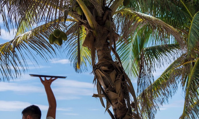 Zona Hotelera Hotel | Sana Tulum Beachfront Boutique Hotel
