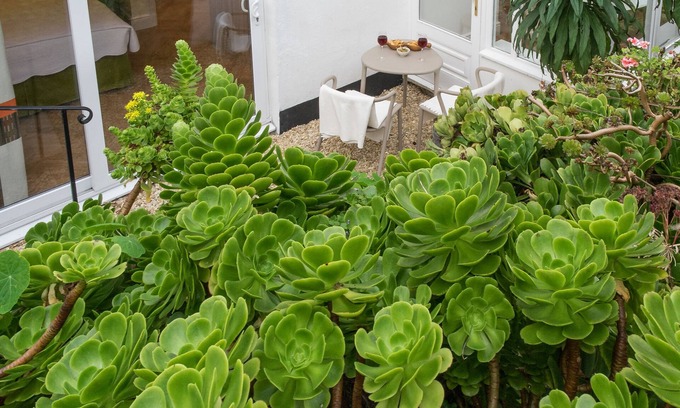 St Ives Apartamento | Sands Studio & Samphire Studio