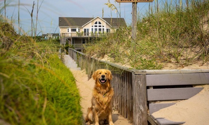Carova Beach Casa | SANDY PAWS: FREE POOL HEAT for open fall weeks! OCEANFRONT- Elevator-4x4