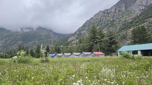 Rakchham Otro | Sangla Valley Camping