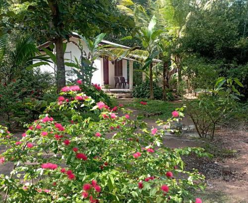 Habarana Casa | Sanjana Home Stay