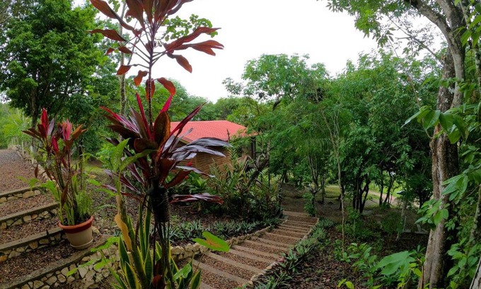 Santa Elena Cama Y Desayuno | Santa Cruz Cabins