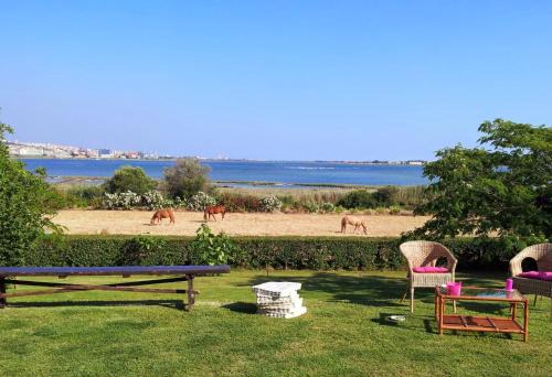 Elmas Cama Y Desayuno | Santa Igia - Country House