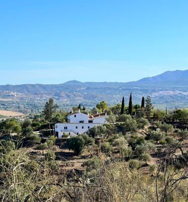 Cartama Cama Y Desayuno | Santa Teresa Bed & Breakfast Andalusien