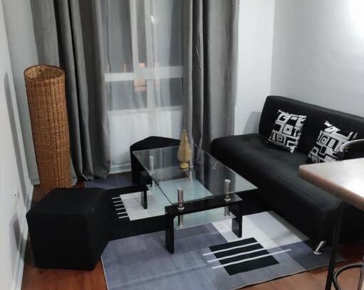 Downtown Santiago Apartamento | santiago centro