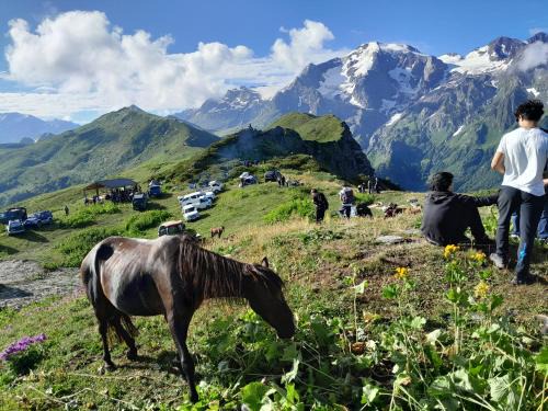 Bagvdanari Casa | Sarag Mountain & Family Guesthouse Svaneti